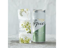 Load image into Gallery viewer, Spier Sauvignon Blanc 250ml Can