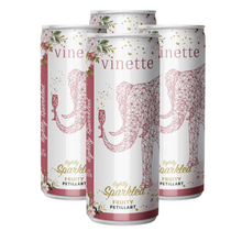Load image into Gallery viewer, Vinette Sparkling Fruity Can 250ml
