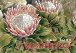 Cape Town Kirstenbosch - Wooden Postcard