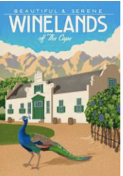 Winelands of The Cape - Wooden Postcard