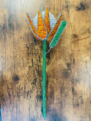 Beaded Protea Orange