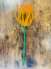 Load image into Gallery viewer, Beaded Protea Pincushion Orange