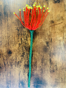Red Beaded Pincushion Protea