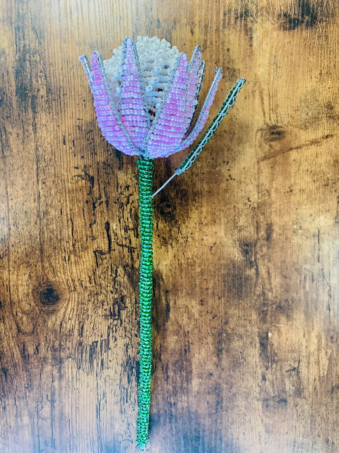 Beaded Protea Pink